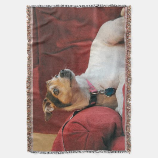 Couverture Classique (devant Vertical)