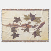 Couverture Colibri Audubon Traill (Devant)