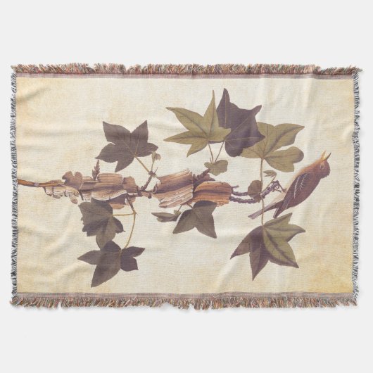 Couverture Colibri Audubon Traill (Devant)