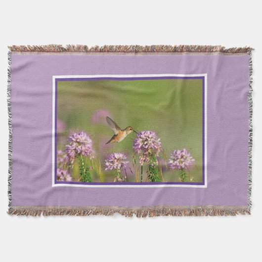 Couverture Colibri et fleurs sauvages (Devant)