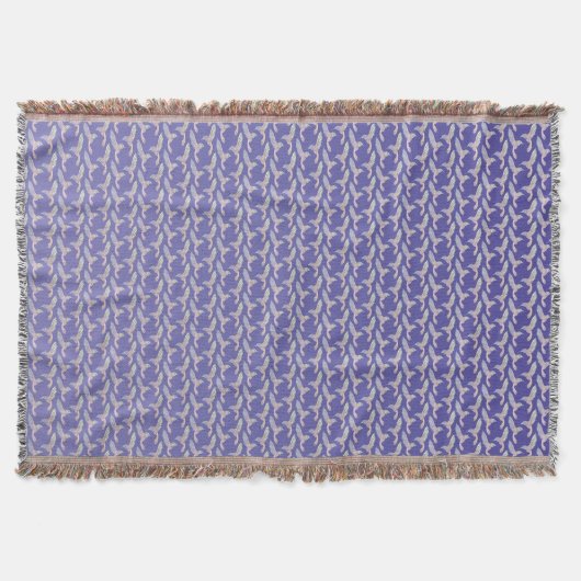 Couverture Colibri I (Devant)