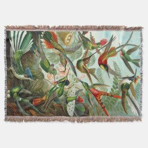 Couverture Colibris d'Ernst Haeckel