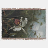 Couverture Colibris et orchidée blanche par Martin J. Heade (Devant)