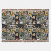 Couverture Collage De Photos De Poulets Et De Coqs, (Devant)