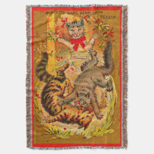 Couverture combat de chat