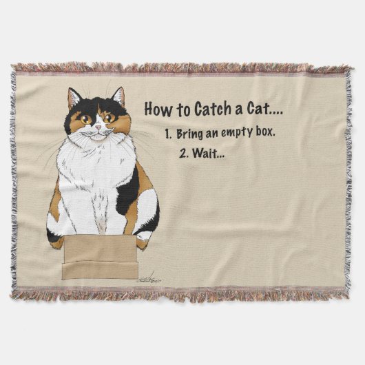 Couverture Comment attraper un chat (Devant)