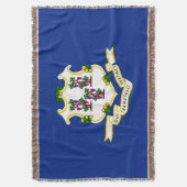 Couverture Conception de l'indicateur d'état Connecticut (devant Vertical)