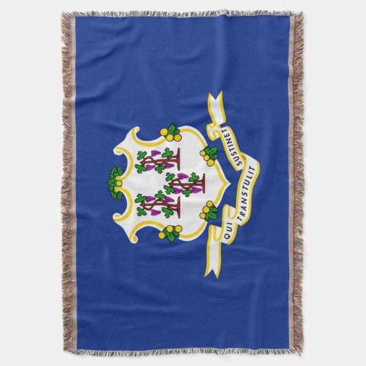 Couverture Conception de l'indicateur d'état Connecticut (devant Vertical)