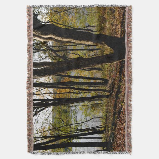 Couverture Connecticut (devant Vertical)