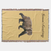 Couverture Cook bear (Devant)