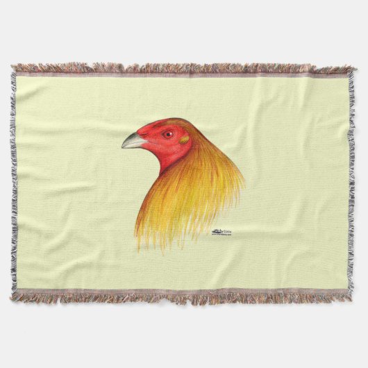 Couverture Coq de combat épointé (Devant)