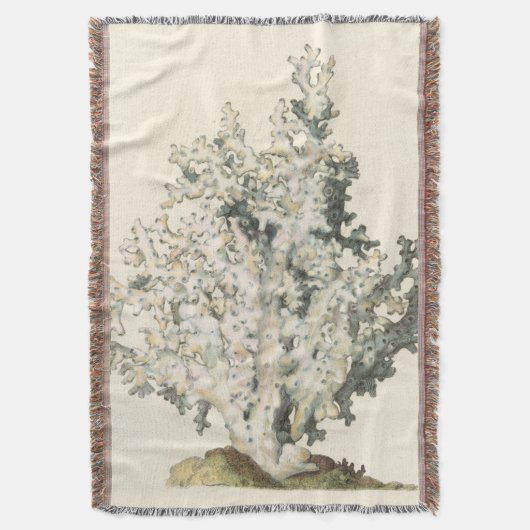 Couverture Corail d'aquarelle antique (devant Vertical)