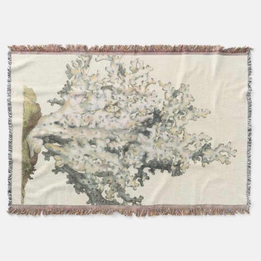 Couverture Corail d'aquarelle antique (Devant)