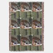 Couverture Corgi extraordinaire (devant Vertical)