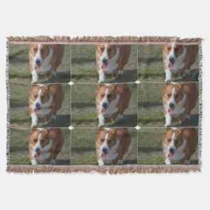 Couverture Corgi extraordinaire