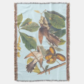 Couverture Coucou à bec jaune Audubon (devant Vertical)