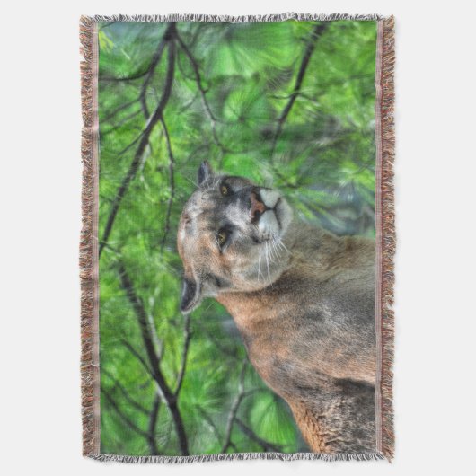 Couverture Cougar Mountain Lion & Summer Pines Image de la fa (devant Vertical)