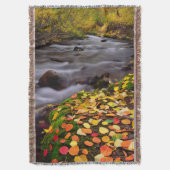Couverture Couleurs d'automne le long de McGee Creek (devant Vertical)