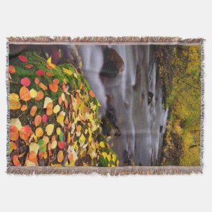 Couverture Couleurs d'automne le long de McGee Creek