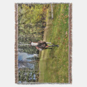 Couverture Courir Pinto Paint Horse & Forest sur Ranch (devant Vertical)