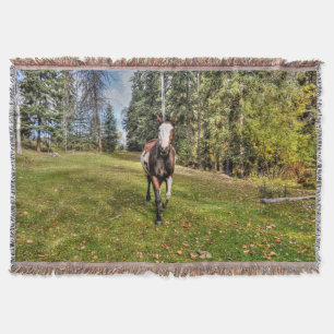 Couverture Courir Pinto Paint Horse & Forest sur Ranch