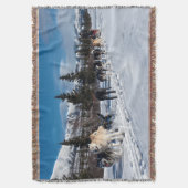 Couverture Course de traîneau à chiens Husky de l'Alaska (devant Vertical)
