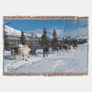 Couverture Course de traîneau à chiens Husky de l'Alaska