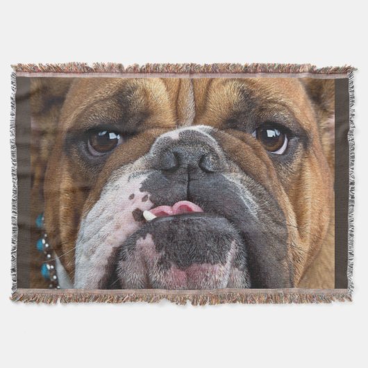 Couverture Coussin de jet de Bouledogue Anglais (Devant)