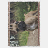Couverture Coussin de lancer Bouledogue Français (devant Vertical)