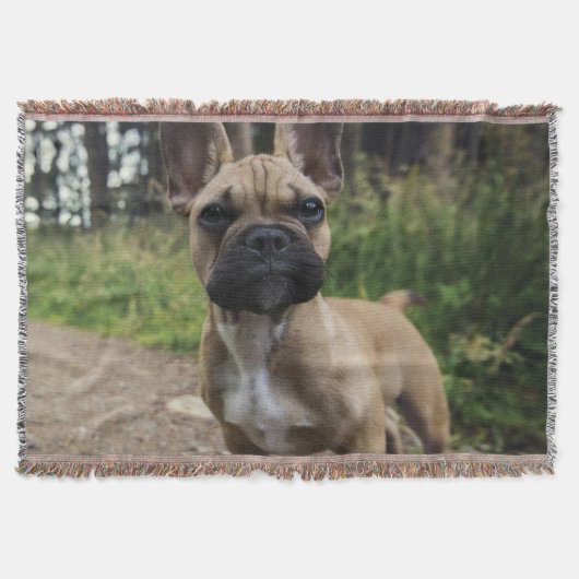 Couverture Coussin de lancer Bouledogue Français (Devant)