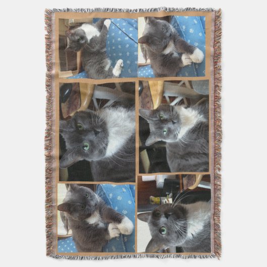 Couverture "Couverture classique de photo d'animal familier " (devant Vertical)