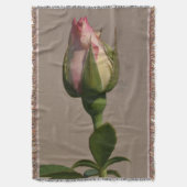 Couverture Couverture/rose rouge bourgeon (devant Vertical)