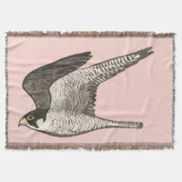 Crayon couleur faucon pèlerin Art sur rose