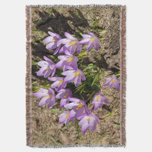 Couverture Crocus de printemps mignons (devant Vertical)