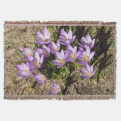 Couverture Crocus de printemps mignons (Devant)