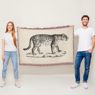 Couverture Croquis Brodtmann Leopard