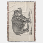 Couverture Croquis Brodtmann Rhinoceros (devant Vertical)