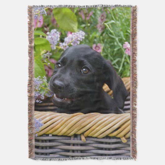 Couverture Cuisine Black Labrador Retriever Chien Chiot Chiot (devant Vertical)