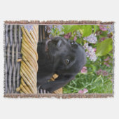 Couverture Cuisine Black Labrador Retriever Chien Chiot Chiot (Devant)