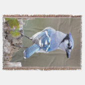 Couverture Cute Bleu Jay Songbird sur Treestump (Devant)