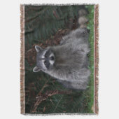 Couverture Cute Forest Raccoon Photo Faune (devant Vertical)
