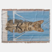 Couverture Cute Nosy Tabby Chat Kitten assis dans une clôture (Devant)