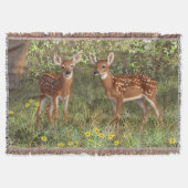 Couverture Cute White Deer Twin Fawns (Devant)
