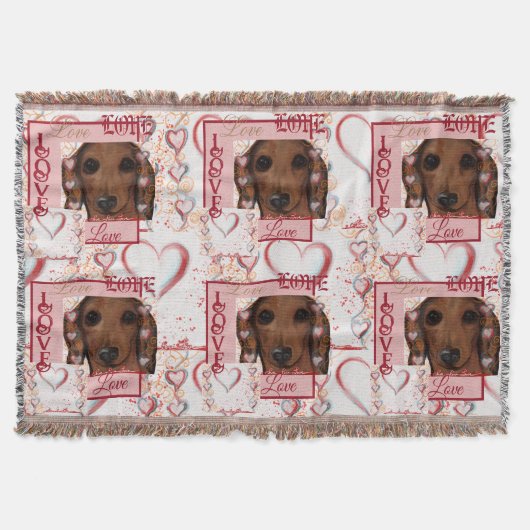 Couverture Dachshund Rouge  (Devant)