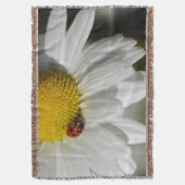Couverture Daisy Et Un Ladybug (devant Vertical)