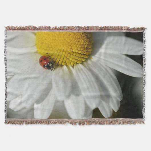 Couverture Daisy Et Un Ladybug (Devant)