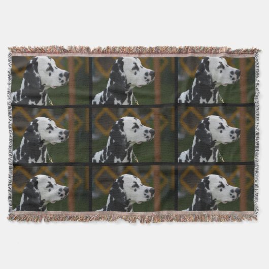 Couverture Dalmate repéré par bonbon (Devant)