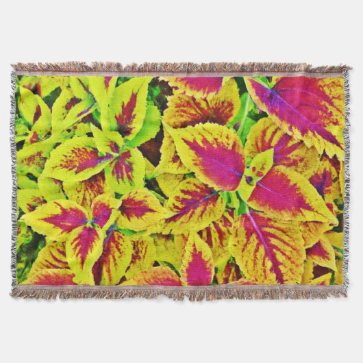 Couverture Danse Motif Feuille (Devant)
