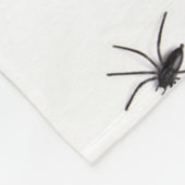 couverture d'araignées (Coin)