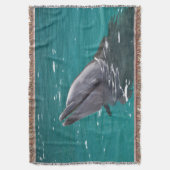 Couverture Dauphin en vert (devant Vertical)